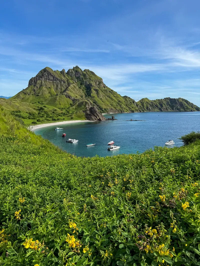 Komodo Island view 1