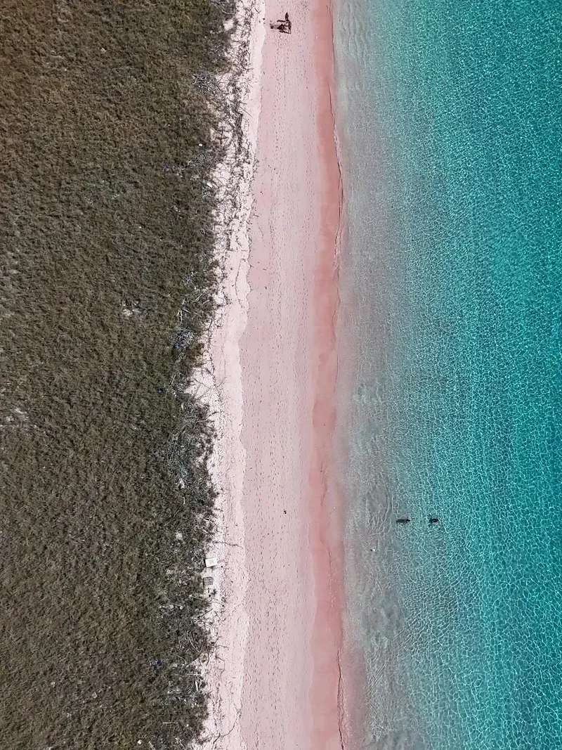Komodo Island view 4